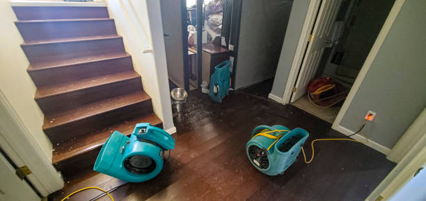 Best Basement water damage restoration  in Dunn, NC