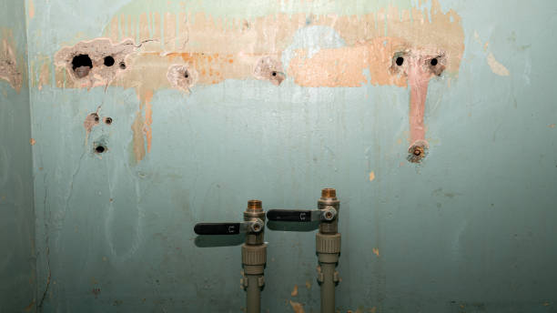 Best Local water damage restoration  in Dunn, NC