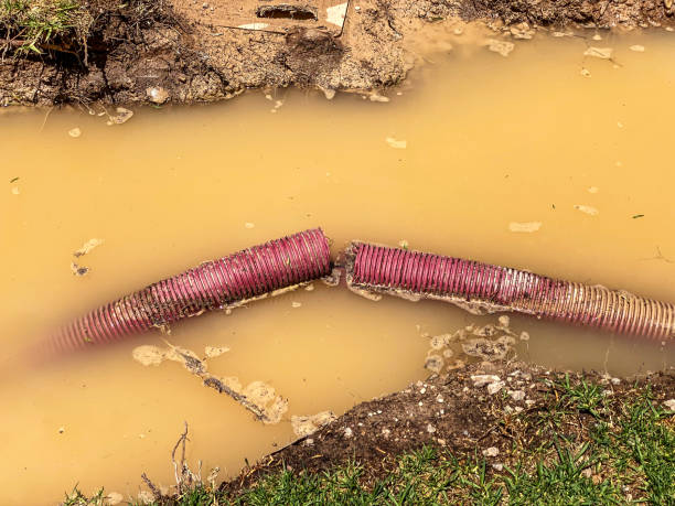 Best Water damage cleanup near me  in Dunn, NC