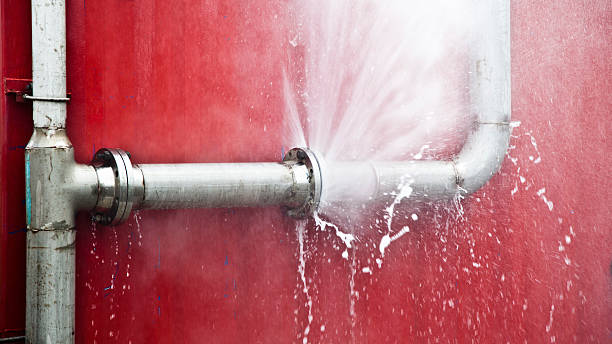 Best Flooded house restoration  in Dunn, NC